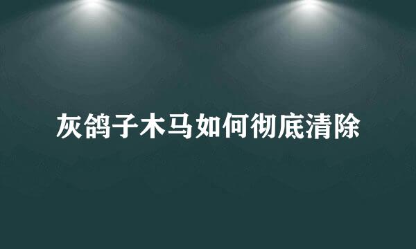 灰鸽子木马如何彻底清除