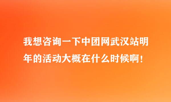 我想咨询一下中团网武汉站明年的活动大概在什么时候啊！