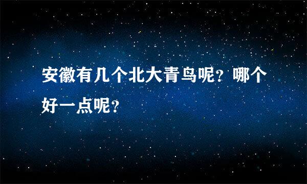 安徽有几个北大青鸟呢？哪个好一点呢？