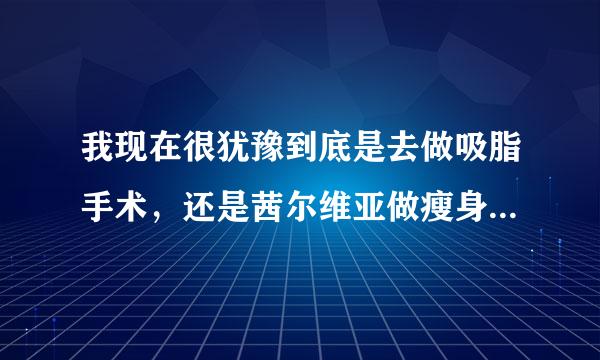 我现在很犹豫到底是去做吸脂手术，还是茜尔维亚做瘦身，哪个有效果？