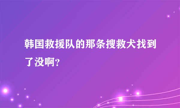 韩国救援队的那条搜救犬找到了没啊？