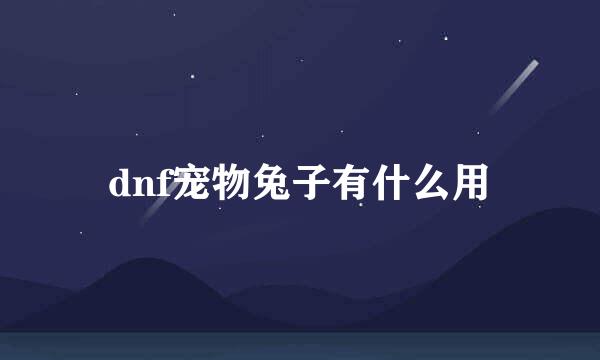 dnf宠物兔子有什么用