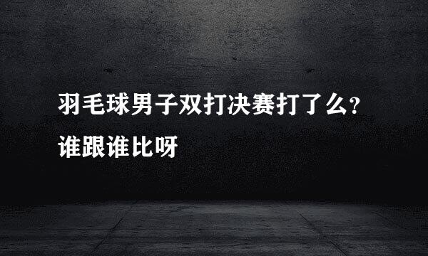 羽毛球男子双打决赛打了么？谁跟谁比呀