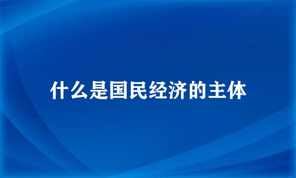 什么是国民经济的主体