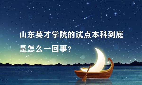 山东英才学院的试点本科到底是怎么一回事？