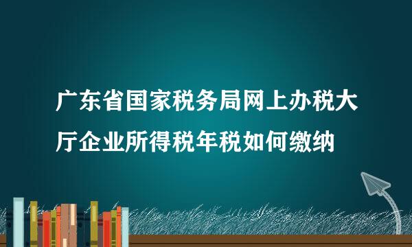 广东省国家税务局网上办税大厅企业所得税年税如何缴纳