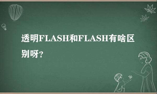 透明FLASH和FLASH有啥区别呀？