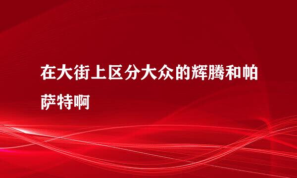 在大街上区分大众的辉腾和帕萨特啊