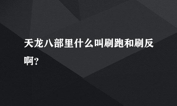 天龙八部里什么叫刷跑和刷反啊？