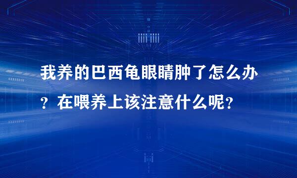 我养的巴西龟眼睛肿了怎么办？在喂养上该注意什么呢？