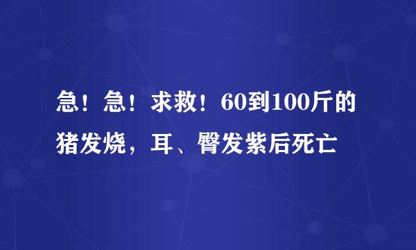 急！急！求救！60到100斤的猪发烧，耳、臀发紫后死亡