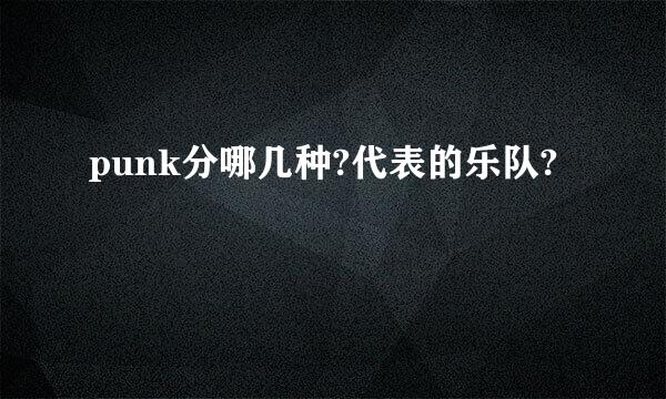 punk分哪几种?代表的乐队?