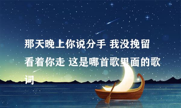 那天晚上你说分手 我没挽留看着你走 这是哪首歌里面的歌词