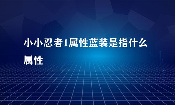 小小忍者1属性蓝装是指什么属性