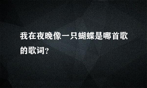 我在夜晚像一只蝴蝶是哪首歌的歌词？