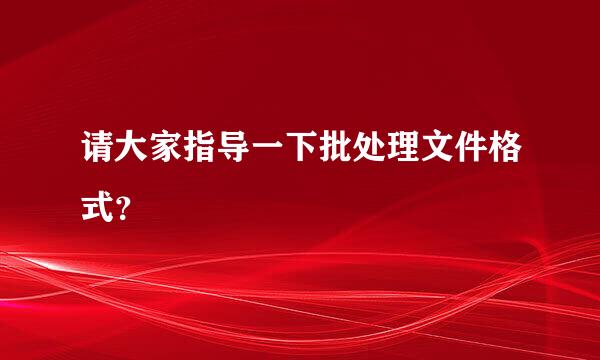 请大家指导一下批处理文件格式？