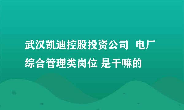 武汉凯迪控股投资公司  电厂综合管理类岗位 是干嘛的