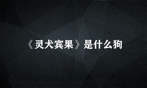 《灵犬宾果》是什么狗