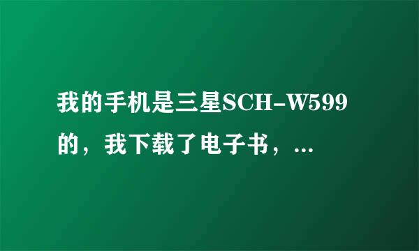 我的手机是三星SCH-W599的，我下载了电子书，怎么看啊