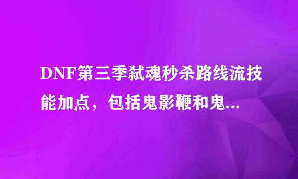 DNF第三季弑魂秒杀路线流技能加点，包括鬼影鞭和鬼影三击剑