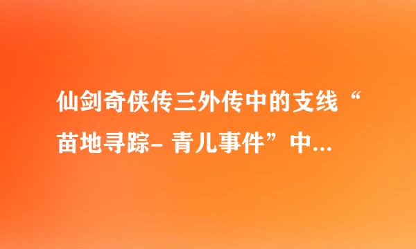 仙剑奇侠传三外传中的支线“苗地寻踪- 青儿事件”中柿饼没了怎么办