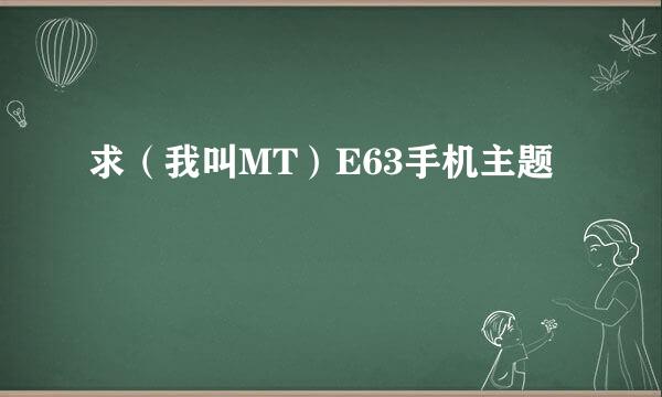 求（我叫MT）E63手机主题