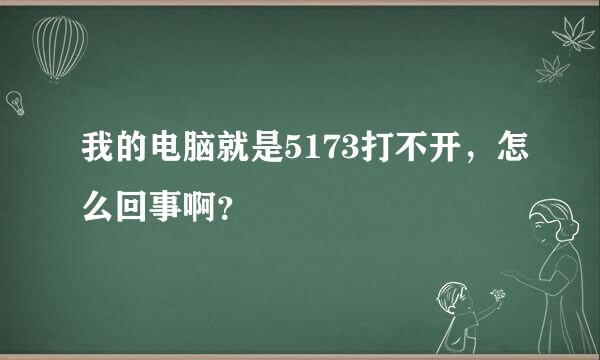 我的电脑就是5173打不开，怎么回事啊？