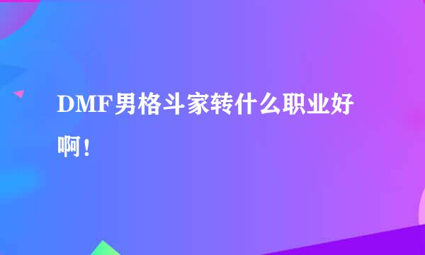 DMF男格斗家转什么职业好啊！