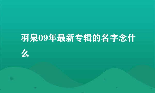 羽泉09年最新专辑的名字念什么