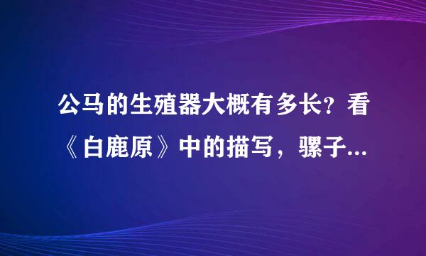 公马的生殖器大概有多长？看《白鹿原》中的描写，骡子居然有2、3尺……很不相信！盼哪位好心人告知！