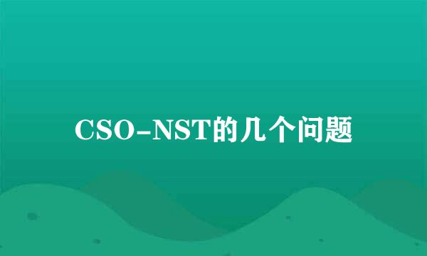 CSO-NST的几个问题