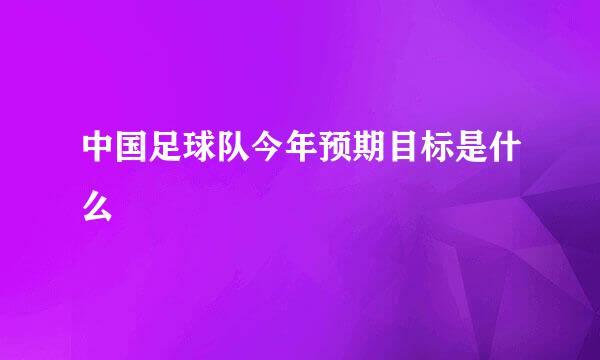 中国足球队今年预期目标是什么