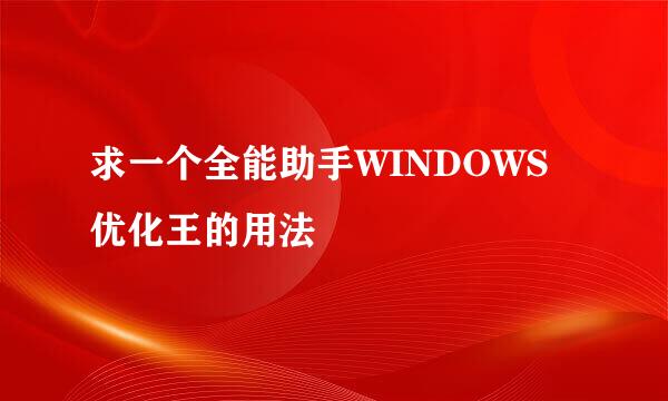 求一个全能助手WINDOWS优化王的用法