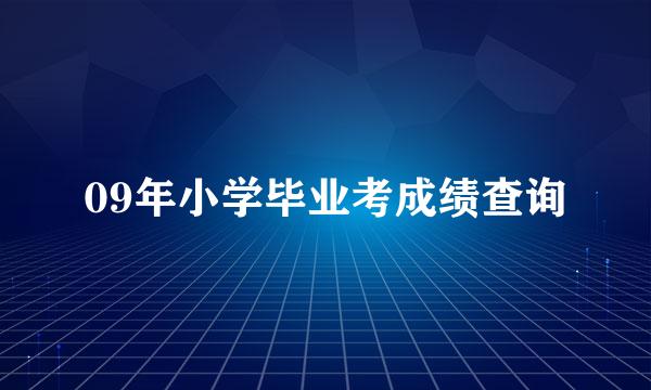 09年小学毕业考成绩查询