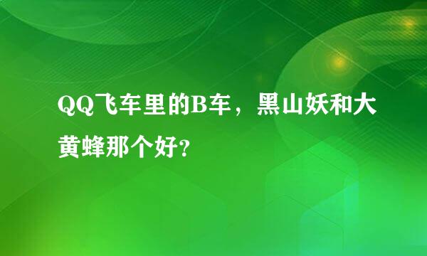 QQ飞车里的B车，黑山妖和大黄蜂那个好？