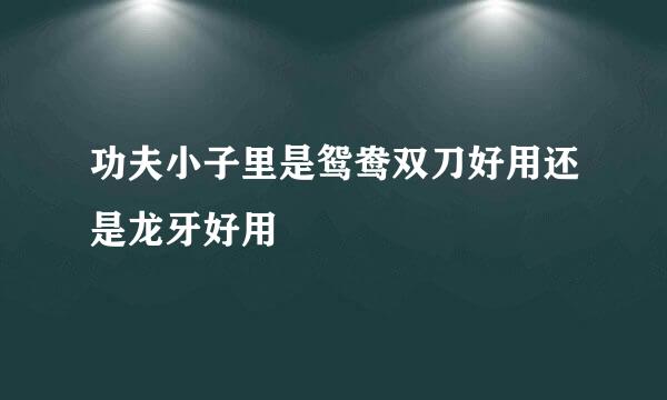 功夫小子里是鸳鸯双刀好用还是龙牙好用