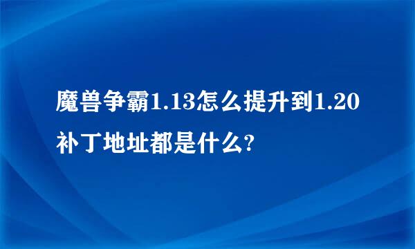 魔兽争霸1.13怎么提升到1.20补丁地址都是什么?