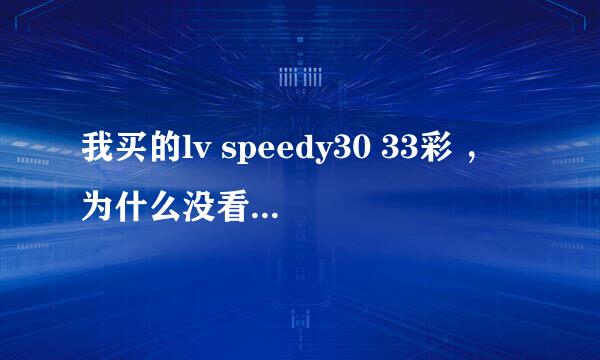 我买的lv speedy30 33彩 ，为什么没看见所谓的内部序号呢？