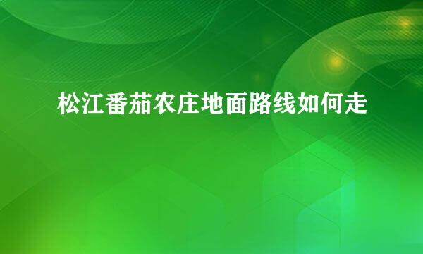 松江番茄农庄地面路线如何走