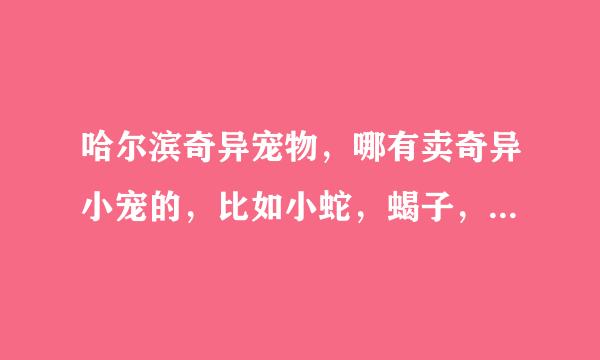 哈尔滨奇异宠物，哪有卖奇异小宠的，比如小蛇，蝎子，蜘蛛，蜥蜴，角蛙什么的？个人，商家回答都可以，回