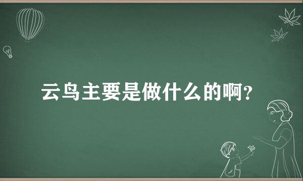 云鸟主要是做什么的啊？