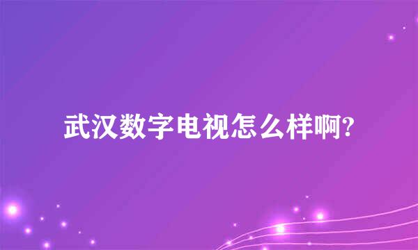 武汉数字电视怎么样啊?