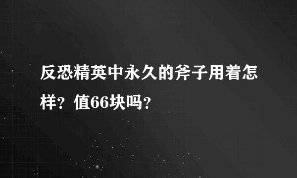 反恐精英中永久的斧子用着怎样？值66块吗？