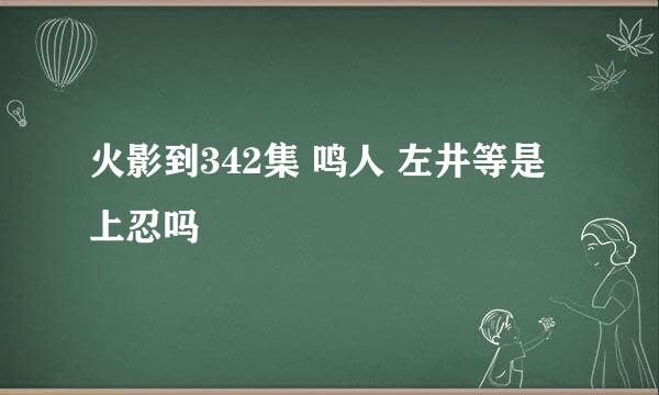 火影到342集 鸣人 左井等是上忍吗