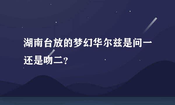 湖南台放的梦幻华尔兹是问一还是吻二？