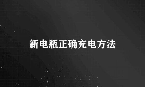 新电瓶正确充电方法