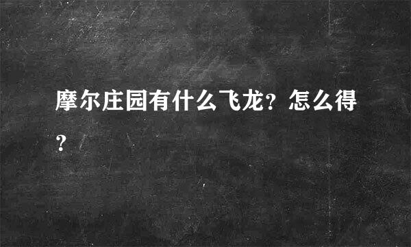 摩尔庄园有什么飞龙？怎么得？