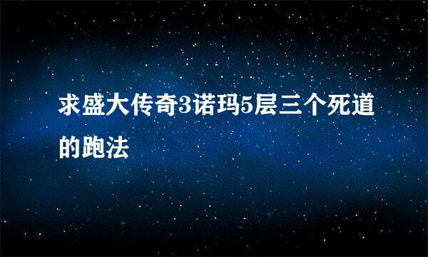 求盛大传奇3诺玛5层三个死道的跑法