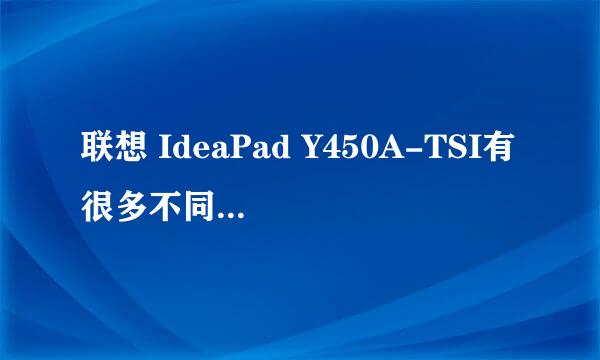 联想 IdeaPad Y450A-TSI有很多不同型号，有什么不同呢？