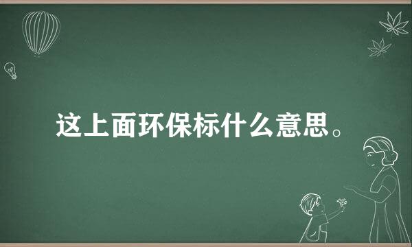 这上面环保标什么意思。